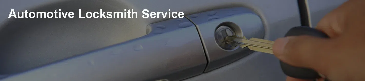 logo-image - banner-section